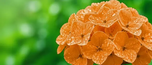 marketmind • fresh thinking, powerful marketingwindow.MARKETMIND = {};
		window